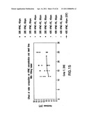 MODIFIED RELEASE 1- [ (3-HYDROXY-ADAMANT-1-YLAMINO)-ACETYL] -PYRROLIDINE-2 (S) -CARBONITRILE FORMULATION diagram and image