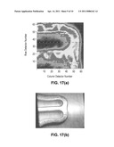 Concentration Gradient Profiles For Control of Agent Release Rates From Polymer Matrices diagram and image