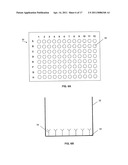 METHODS, DEVICES, KITS AND COMPOSITIONS FOR DETECTING ROUNDWORM diagram and image