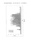 METHODS, DEVICES, KITS AND COMPOSITIONS FOR DETECTING ROUNDWORM diagram and image