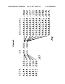 Novel haplotype tagging single nucleotide polymorphisms and use of same to predict childhood lymphoblastic leukemia diagram and image