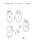 Product and Process for Transformation of Thraustochytriales Microorganisms diagram and image