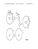 Product and Process for Transformation of Thraustochytriales Microorganisms diagram and image