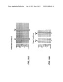 Chimeric Polymerases diagram and image