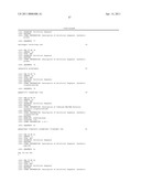 Chimeric Polymerases diagram and image