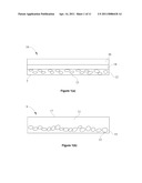 HIGHLY SENSITIVE OXYGEN SENSOR FOR CELL CULTURE diagram and image