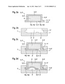 Microfluidic chip diagram and image