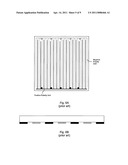 CONTACT FABRICATION OF EMITTER WRAP-THROUGH BACK CONTACT SILICON SOLAR CELLS diagram and image