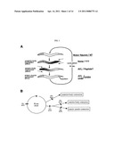 H+-Gated Ion Channel diagram and image