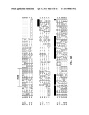 H+-Gated Ion Channel diagram and image