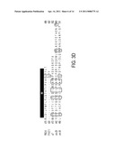 H+-Gated Ion Channel diagram and image