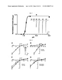 H+-Gated Ion Channel diagram and image