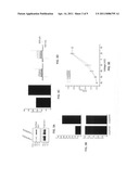 Small peptide modulators of potassium channel trafficking diagram and image