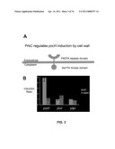 CONTROL OF SPORE GERMINATION diagram and image