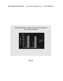 CONTROL OF SPORE GERMINATION diagram and image