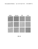 CONTROL OF SPORE GERMINATION diagram and image