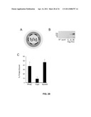 CONTROL OF SPORE GERMINATION diagram and image