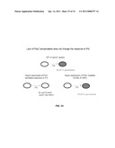 CONTROL OF SPORE GERMINATION diagram and image