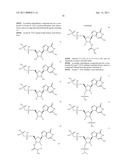 COMPOUNDS FOR TREATING BACTERIAL INFECTIONS diagram and image