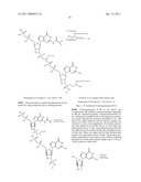 COMPOUNDS FOR TREATING BACTERIAL INFECTIONS diagram and image