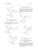 COMPOUNDS FOR TREATING BACTERIAL INFECTIONS diagram and image