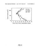 LIPOSOMAL CAMPTOTHECINS AND USES THEREOF diagram and image