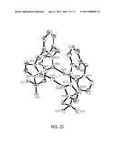 METAL COMPLEXES OF N-HETEROCYCLIC CARBENES diagram and image