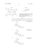 N-7 SUBSTITUTED PURINE AND PYRAZOLOPYRIMINE COMPOUNDS, COMPOSITIONS AND METHODS OF USE diagram and image