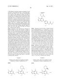 N-7 SUBSTITUTED PURINE AND PYRAZOLOPYRIMINE COMPOUNDS, COMPOSITIONS AND METHODS OF USE diagram and image