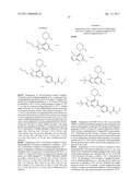 N-7 SUBSTITUTED PURINE AND PYRAZOLOPYRIMINE COMPOUNDS, COMPOSITIONS AND METHODS OF USE diagram and image