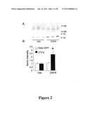 Compositions and Methods for Treating Neurodegenerating Diseases diagram and image