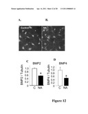 Compositions and Methods for Treating Neurodegenerating Diseases diagram and image