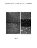 Compositions and Methods for Treating Neurodegenerating Diseases diagram and image