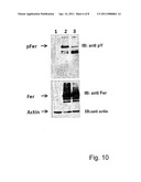 PHARMACEUTICAL COMPOSITIONS AND METHODS FOR THE TREATMENT OF CANCER diagram and image