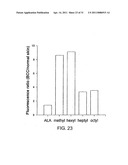 Esters of 5-aminolevulinic acid as photosensitizing agents in photochemotherapy diagram and image