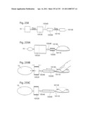 APPARATUS FOR CONTROLLING FLOW IN A BODILY ORGAN diagram and image