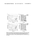 Multimetallic Nanoshells for Monitoring Chemical Reactions diagram and image