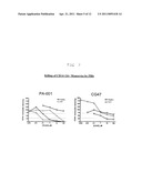 METHODS FOR TREATING VIRAL INFECTIONS USING POLYAMINE ANALOGS diagram and image