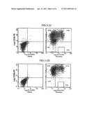 Human brain endothelial cells and growth medium and method for expansion of primitive CD34+CD38- bone marrow stem cells diagram and image