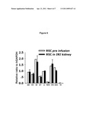 METHODS FOR TREATING A KIDNEY INJURY diagram and image