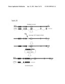 MEGANUCLEASE VARIANTS CLEAVING A DNA TARGET SEQUENCE FROM THE HUMAN INTERLEUKIN-2 RECEPTOR GAMMA CHAIN GENE AND USES THEREOF diagram and image