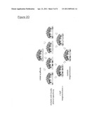 MEGANUCLEASE VARIANTS CLEAVING A DNA TARGET SEQUENCE FROM THE HUMAN INTERLEUKIN-2 RECEPTOR GAMMA CHAIN GENE AND USES THEREOF diagram and image