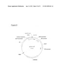 MEGANUCLEASE VARIANTS CLEAVING A DNA TARGET SEQUENCE FROM THE HUMAN INTERLEUKIN-2 RECEPTOR GAMMA CHAIN GENE AND USES THEREOF diagram and image