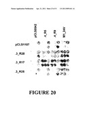 MEGANUCLEASE VARIANTS CLEAVING A DNA TARGET SEQUENCE FROM THE HUMAN INTERLEUKIN-2 RECEPTOR GAMMA CHAIN GENE AND USES THEREOF diagram and image