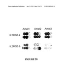 MEGANUCLEASE VARIANTS CLEAVING A DNA TARGET SEQUENCE FROM THE HUMAN INTERLEUKIN-2 RECEPTOR GAMMA CHAIN GENE AND USES THEREOF diagram and image