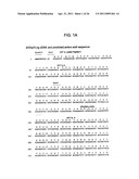 BINDING DOMAIN-IMMUNOGLOBULIN FUSION PROTEINS diagram and image