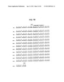 BINDING DOMAIN-IMMUNOGLOBULIN FUSION PROTEINS diagram and image