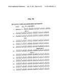 BINDING DOMAIN-IMMUNOGLOBULIN FUSION PROTEINS diagram and image