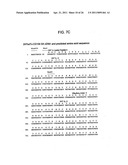 BINDING DOMAIN-IMMUNOGLOBULIN FUSION PROTEINS diagram and image