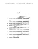 BINDING DOMAIN-IMMUNOGLOBULIN FUSION PROTEINS diagram and image